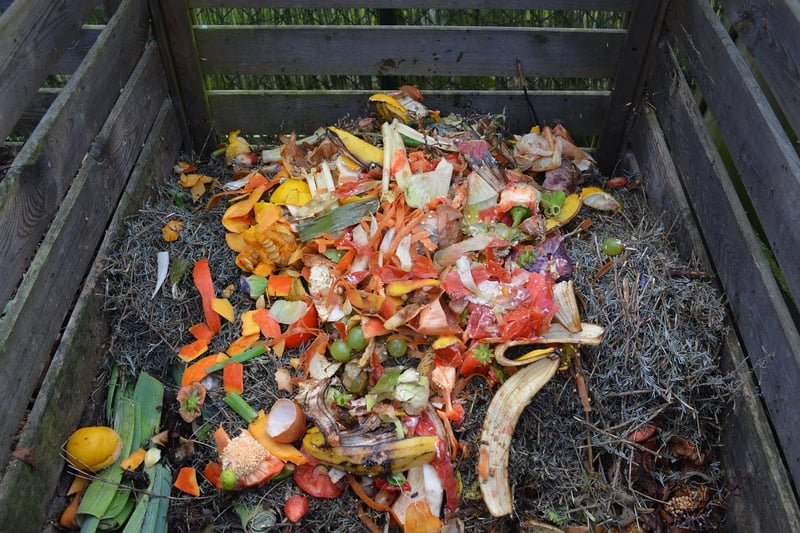 Compost Bins